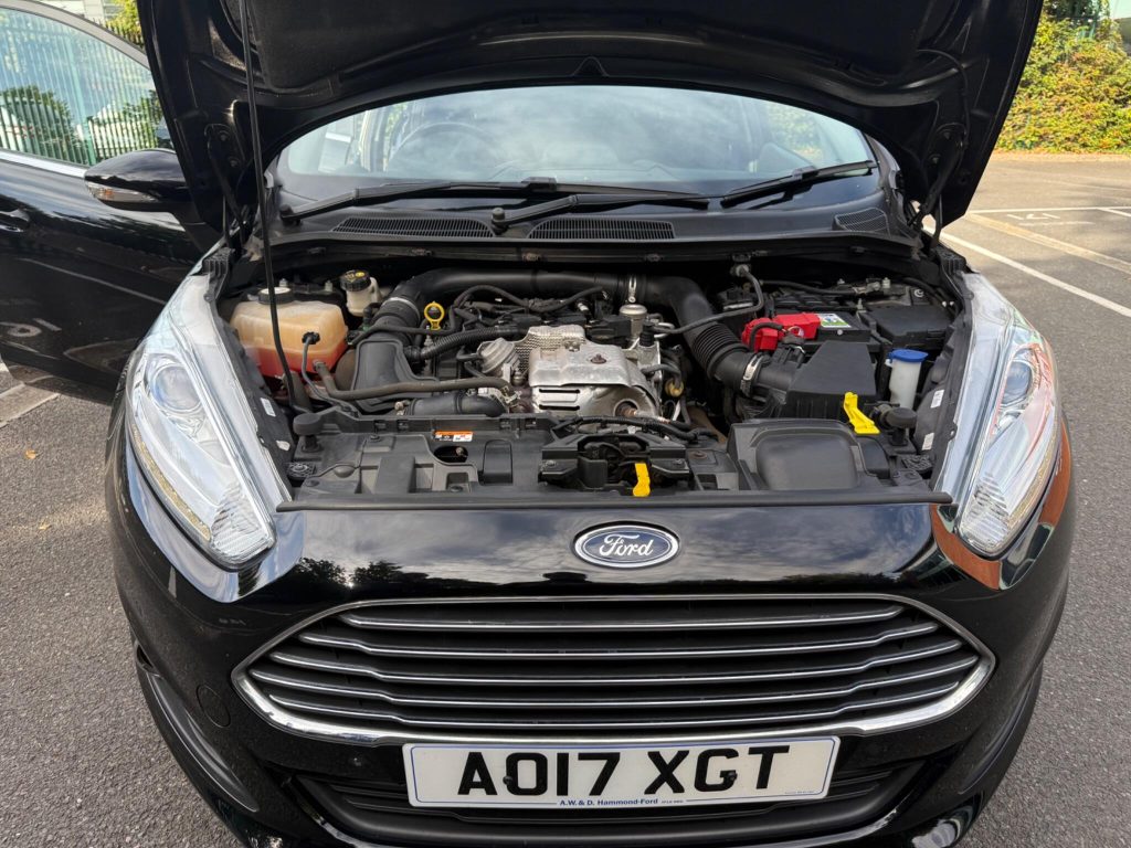 Ford Fiesta 1.0T EcoBoost Titanium Euro 6 (s/s) 5dr — photo 49 of 49